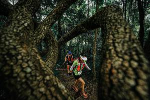 BIB: 
                            <button type="button" onclick="openModal(25672034)" class="btn btn-primary btn-sm float-right btn-popup" data-toggle="modal" data-target=".modal-high-quality">
                        <i class="fas fa-shopping-cart"></i> Add to Cart
                    </button>
                                            <button type="button" onclick="isThisMe(25672034, true)" class="btn btn-success btn-sm float-right btn-popup btn-isme hidden" data-toggle="tooltip" data-placement="bottom" title="นี่คือรูปของคุณใช่ไหม คลิกที่นี่เพื่อเอาเข้าอัลบั้ม">
                        <i class="fas fa-plus"></i> Add to album
                    </button>
                    <button type="button" onclick="isThisMe(25672034, false)" class="btn btn-warning btn-sm float-right btn-popup btn-isnotme hidden">
                        <i class="fas fa-ban"></i> Remove from album
                    </button>